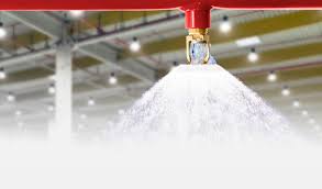 Emergency Repair in Boca Raton