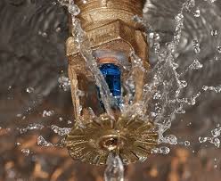 Emergency Repair in Boca Raton